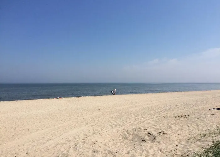 Austernbank * Schillig